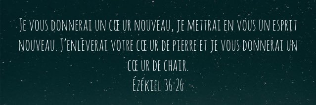 ❄️ banner