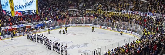 Radan Dědič banner