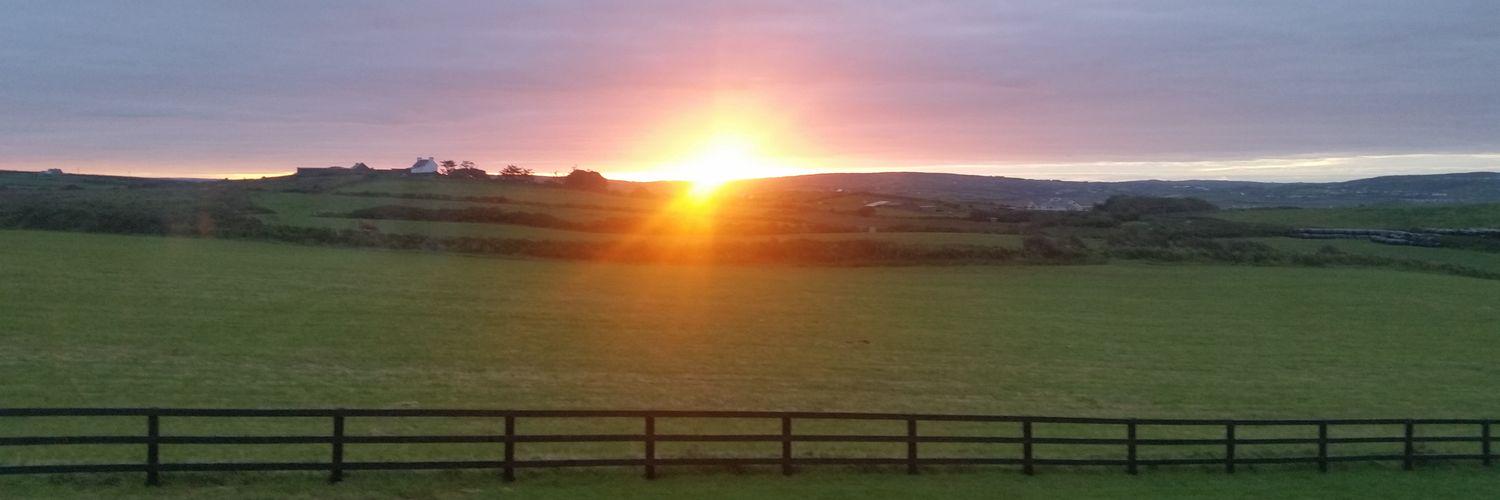 Cathal O Gorman banner
