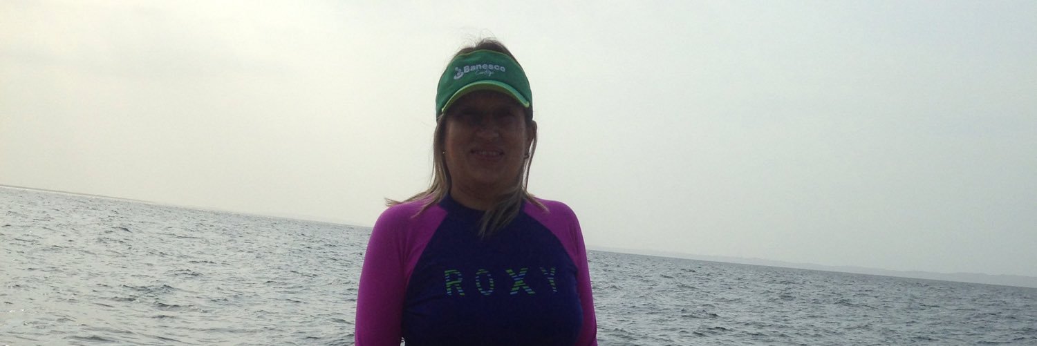 Judith E. Villegas banner