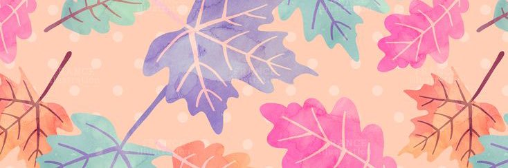 MELISSA_FG's profile banner image