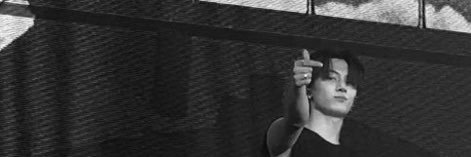 C. 🐈‍⬛🌲 banner