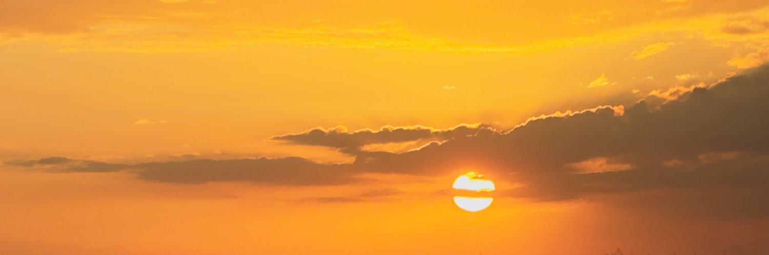 nikkangiela's profile banner image