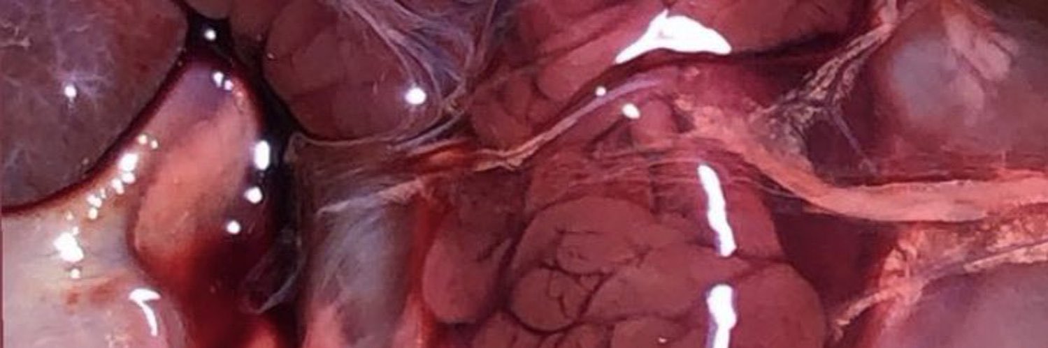 Bio-perverted bastard banner