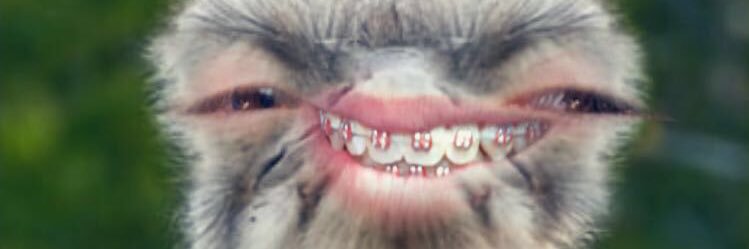 CoreyGreenhill's profile banner image