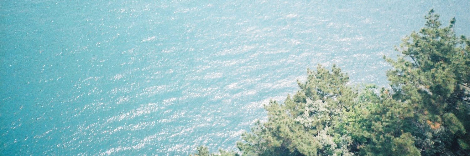 shxnnon's profile banner image