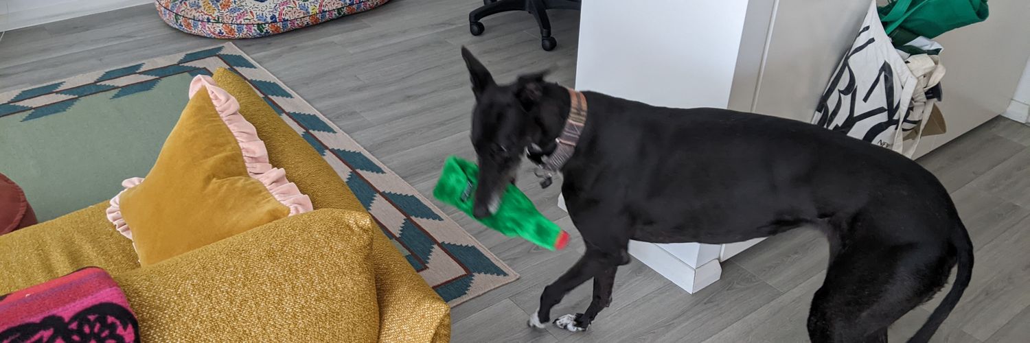 MelOSullivan2's profile banner image