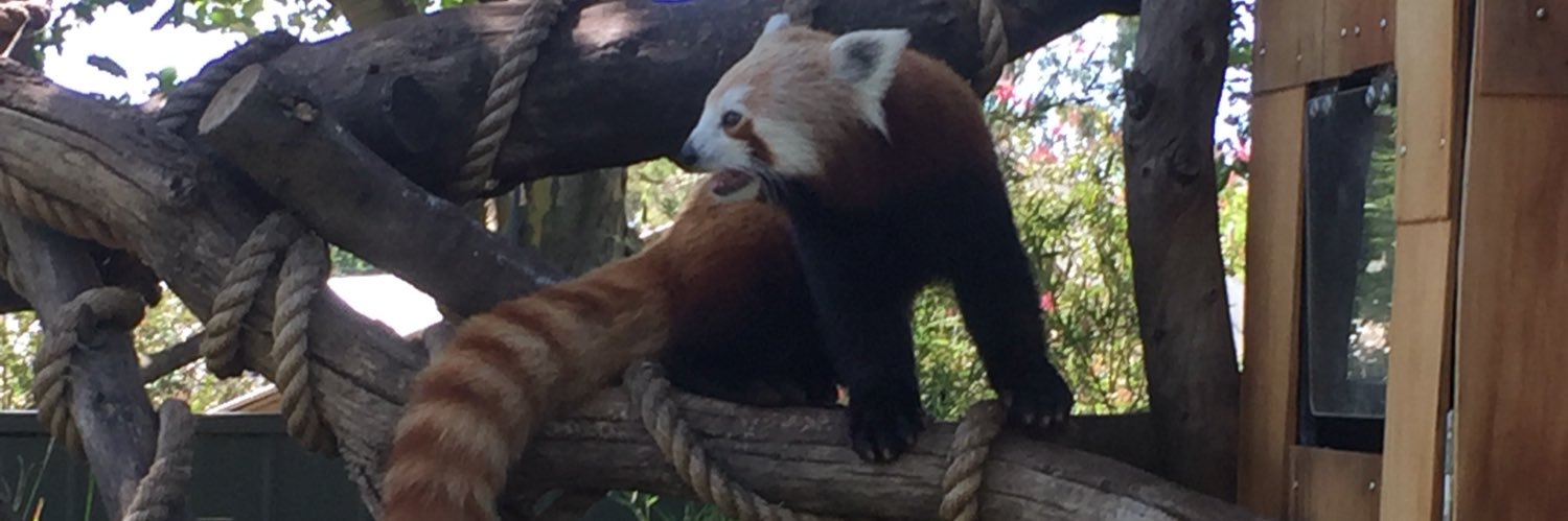 KingoftheWorld banner