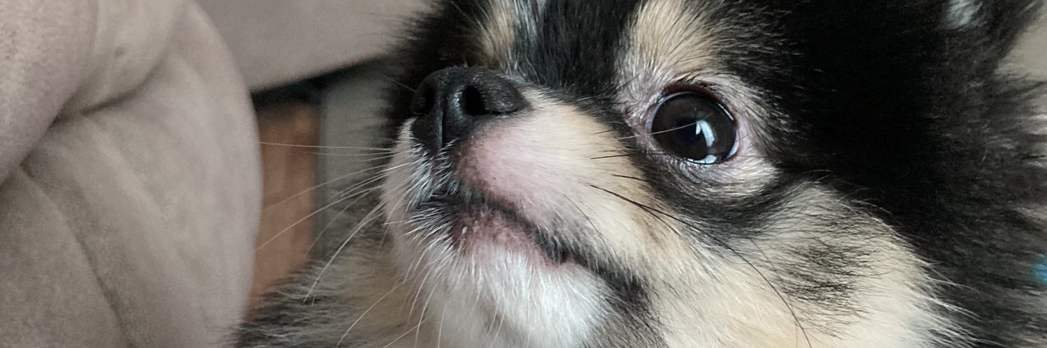 xenaaaaababe's profile banner image