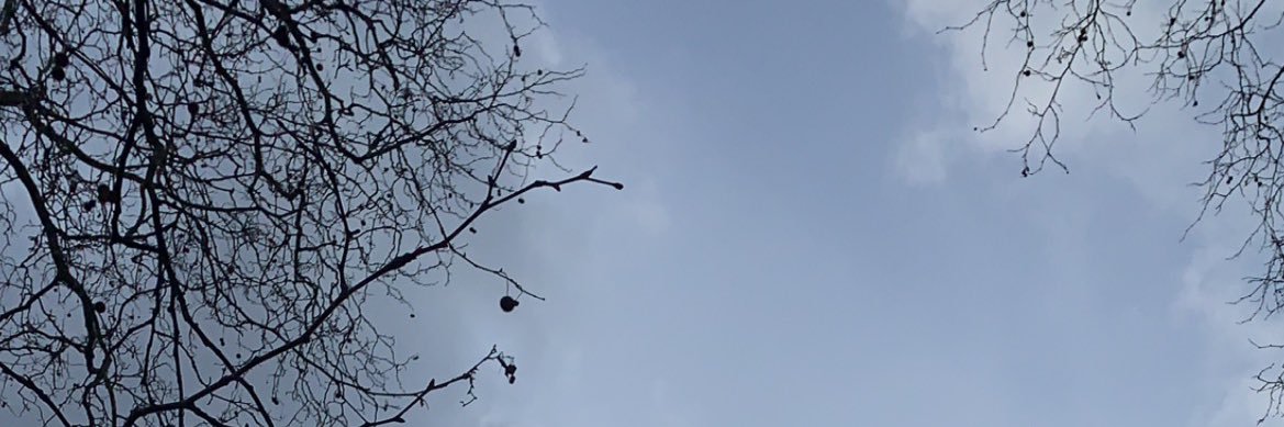 ForoughPiroozi's profile banner image