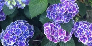 kn273986's profile banner image