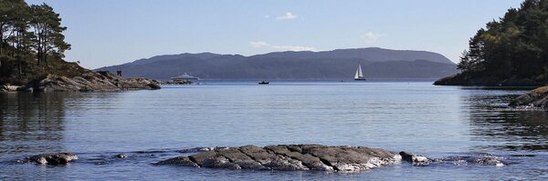 Midtsiden_no Profile Banner