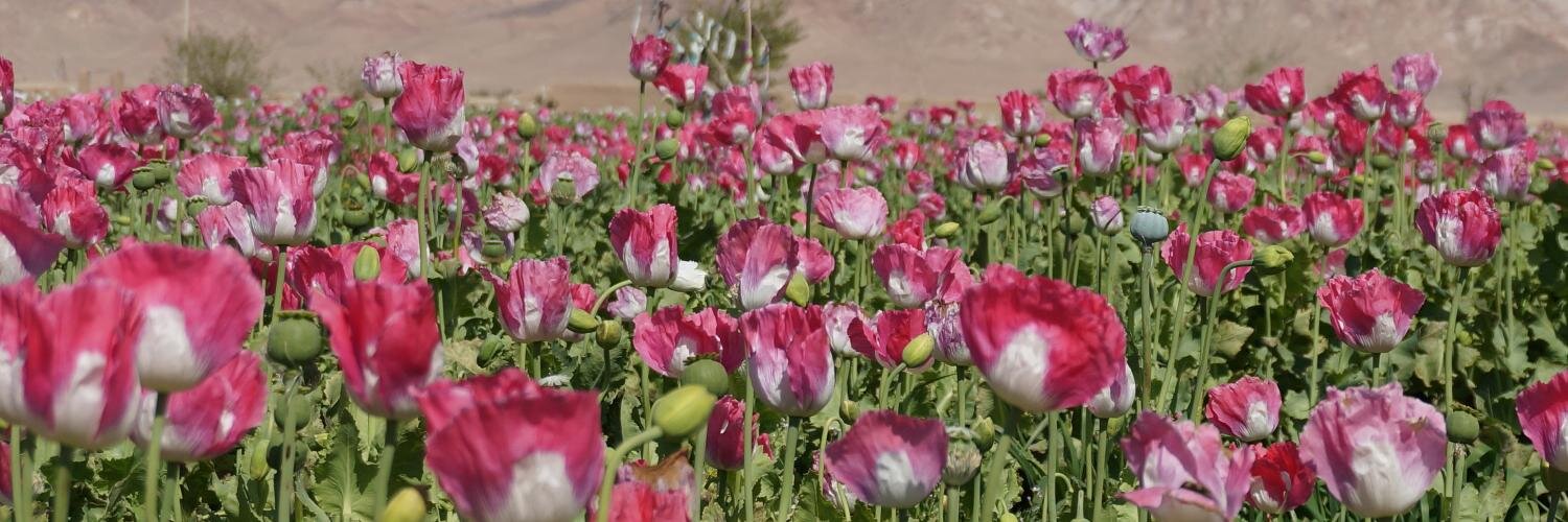 Marie-Eve Bédard banner