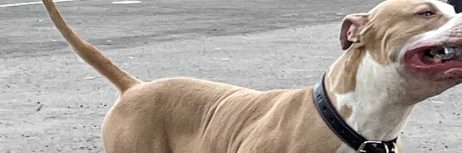 arturoBlue19's profile banner image
