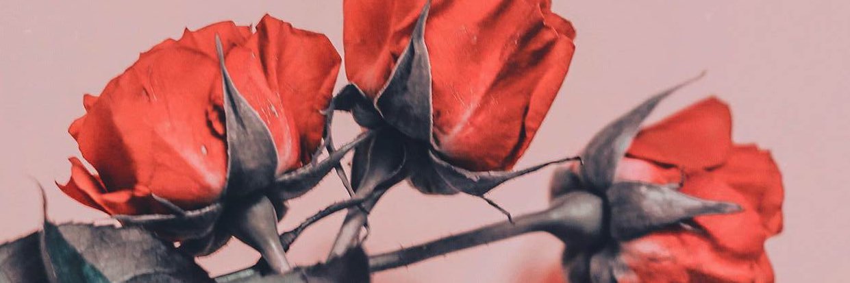 Facts + Logic banner