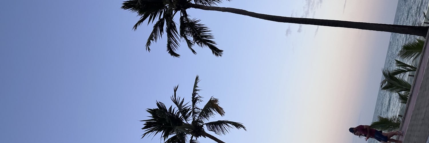 joaovnoog's profile banner image