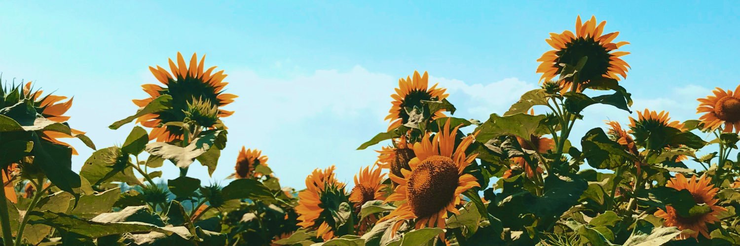 shaffirx's profile banner image