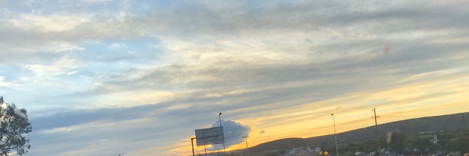 Raul Flores S banner