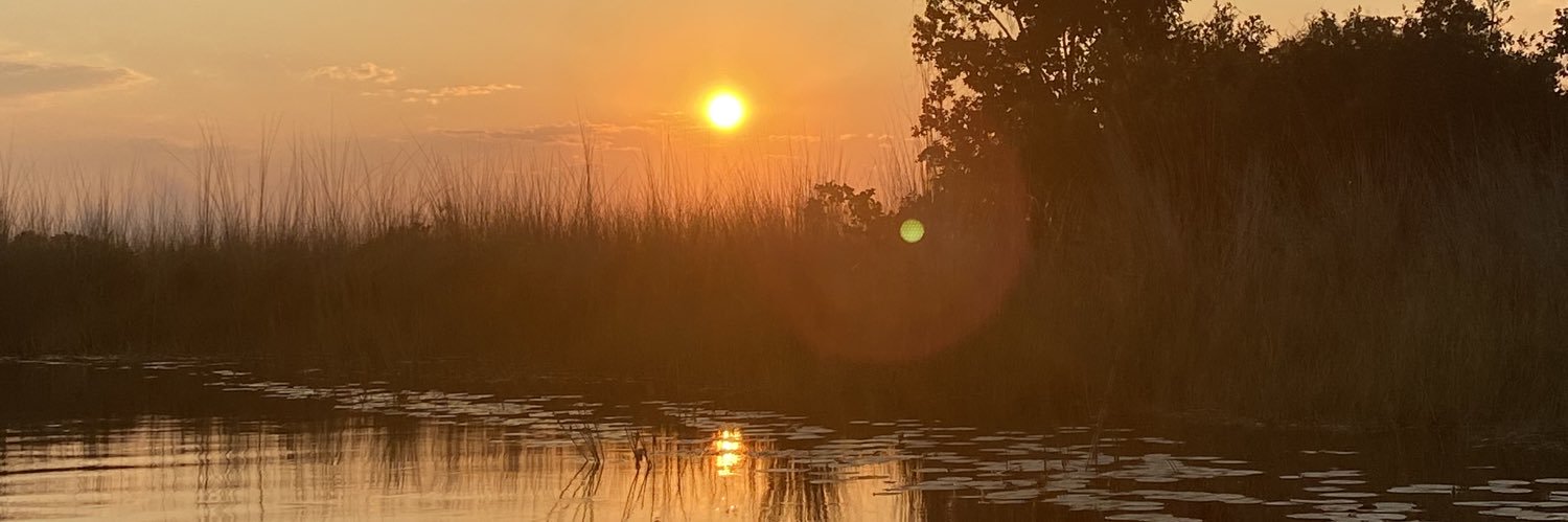 KellyBanks84's profile banner image