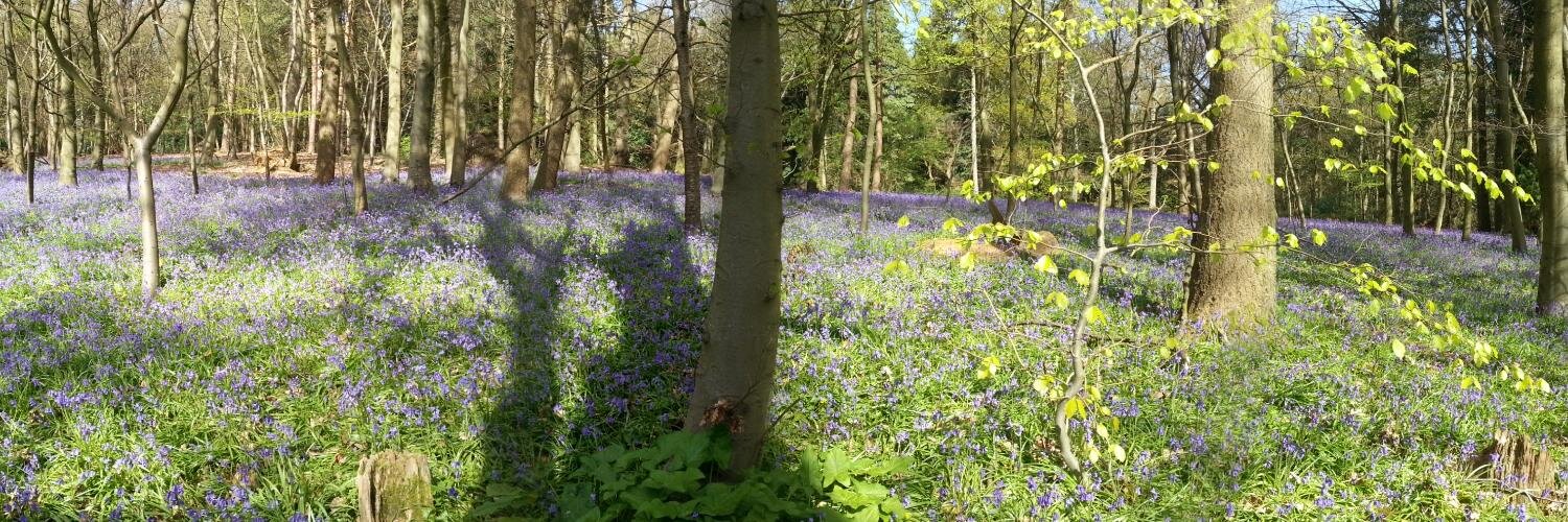 DAFT🔶🕯️ 💚 #RebootGB #RTTG #FBPA banner