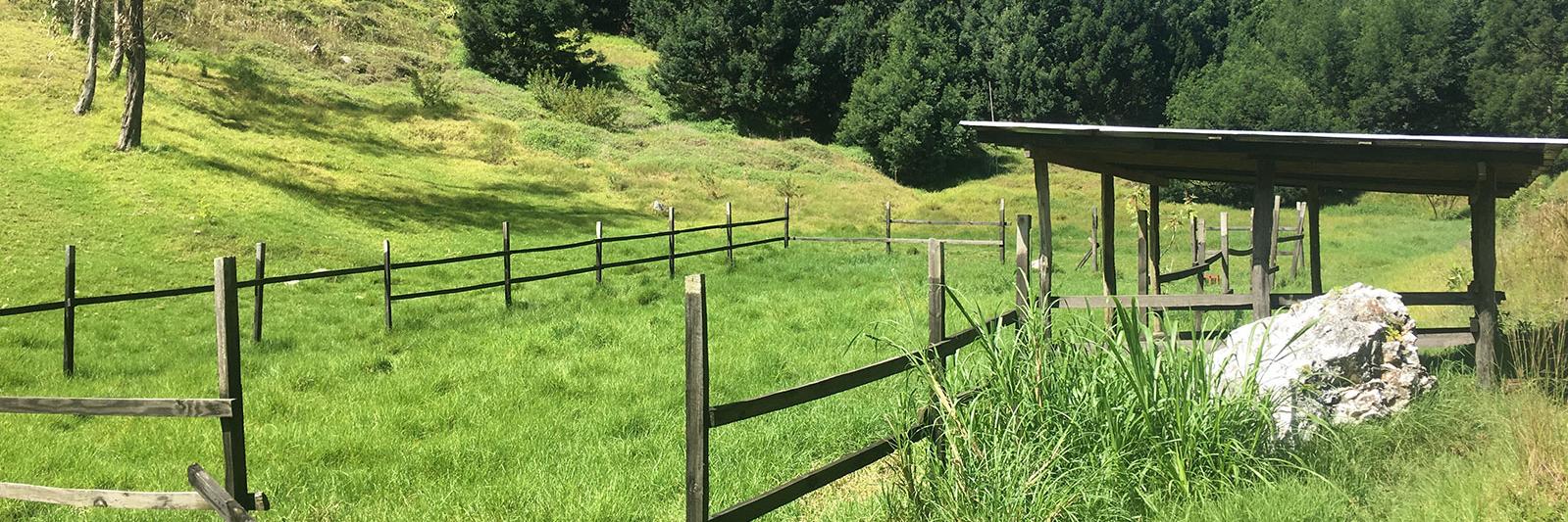 Wynne Farm (@wynnefarm) / Posts / X