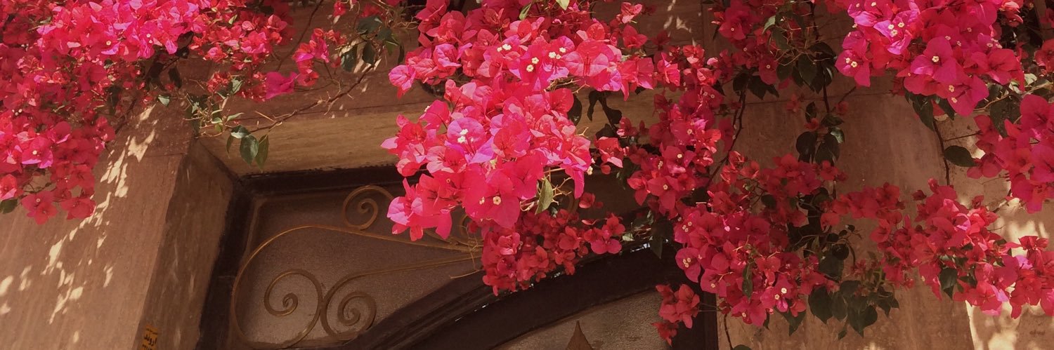 muvezveziii's profile banner image