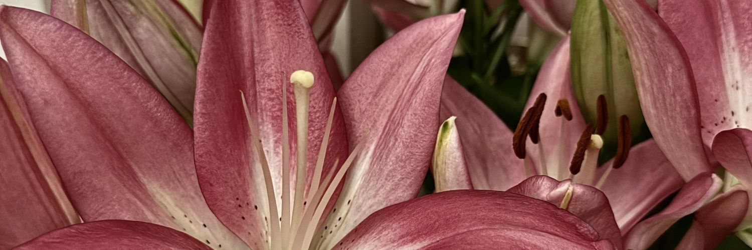 filoton's profile banner image