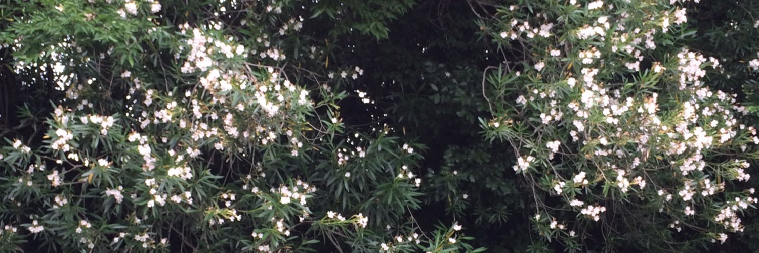 _hmeg_'s profile banner image