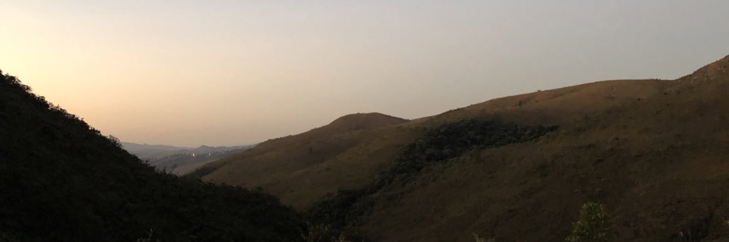 Rodrigo Gomes da Silva MD, PhD banner