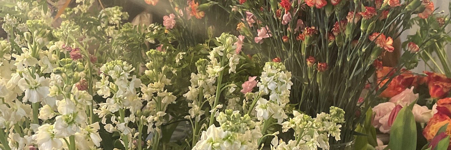 xsm4's profile banner image