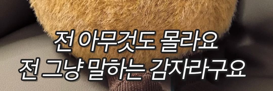 greenyplace_'s profile banner image