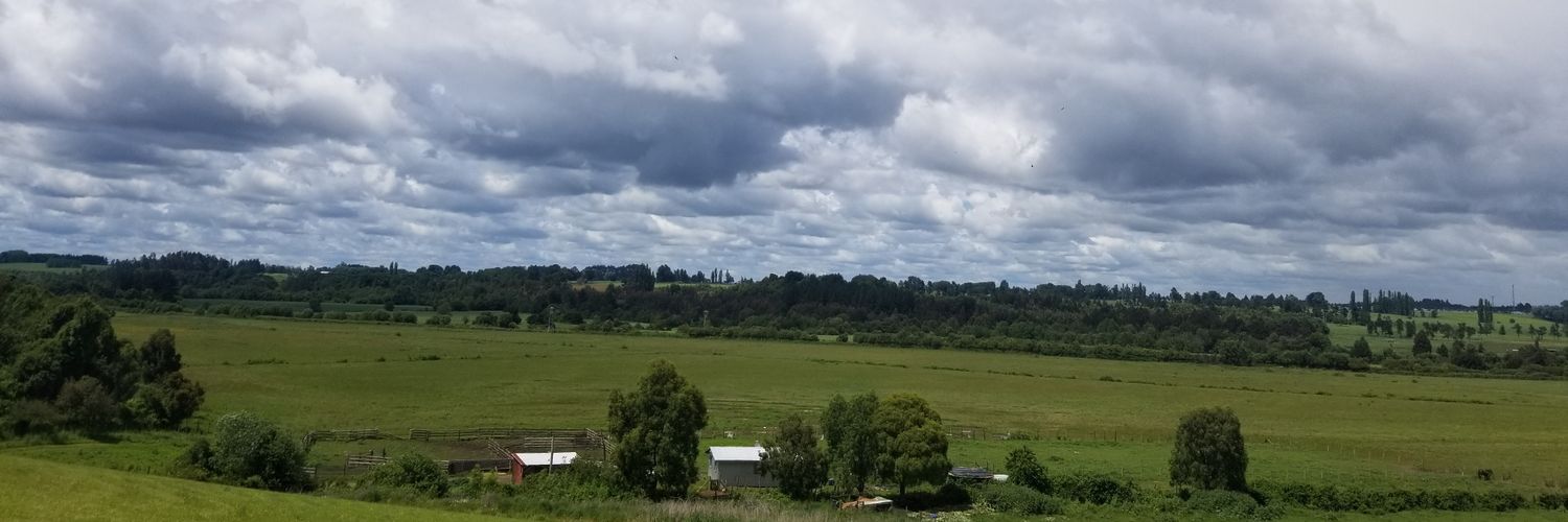 Dagavin99's profile banner image