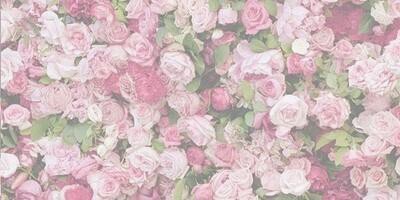 ma_rierard's profile banner image