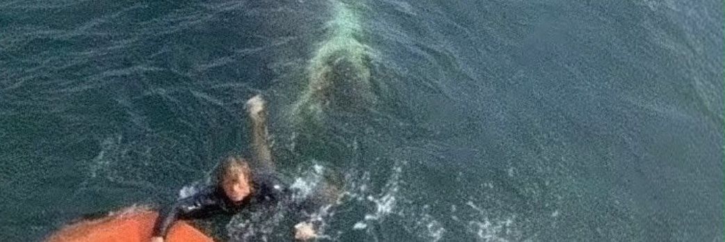 The One And Only Billy Shears banner