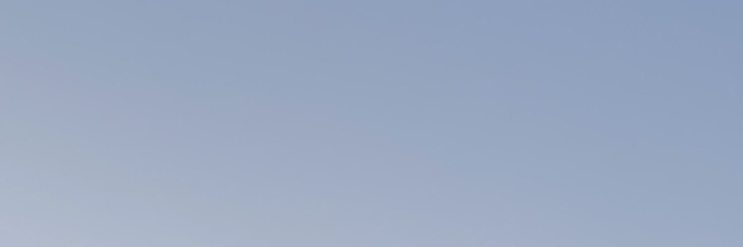 Anna Bindere banner