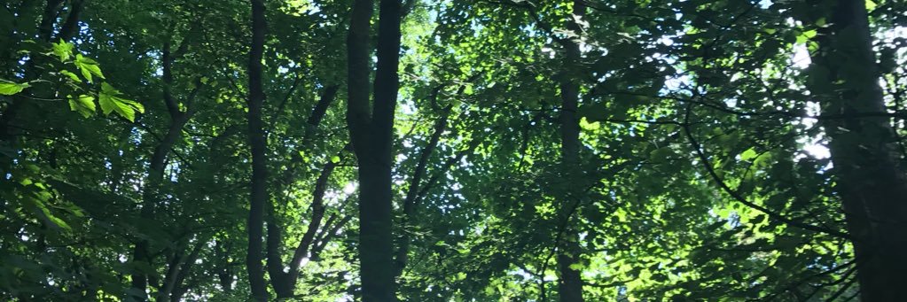 _AfterTheRain_'s profile banner image