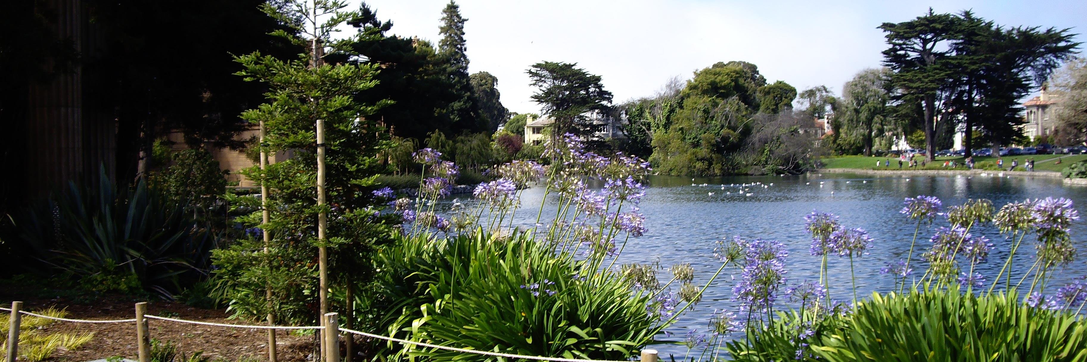 とこちんtoma 😸🐍 banner