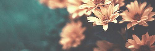 eirolean's profile banner image