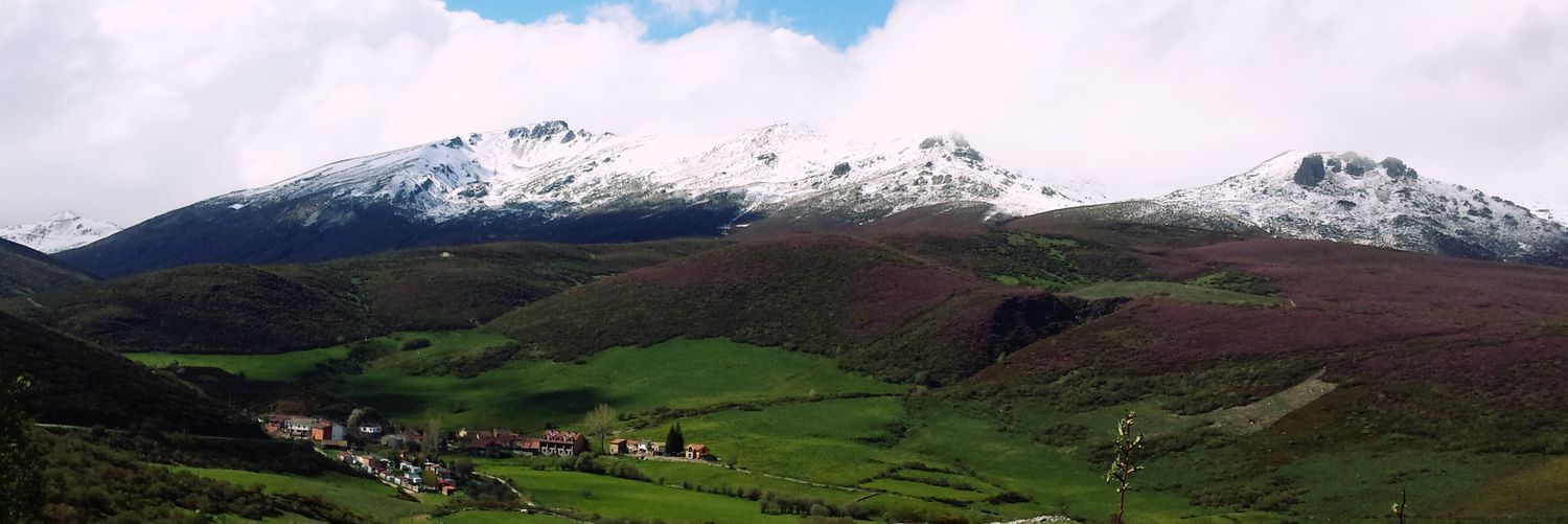 rebeiso's profile banner image