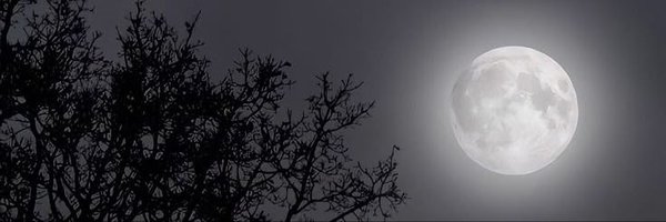 readlikemj Profile Banner