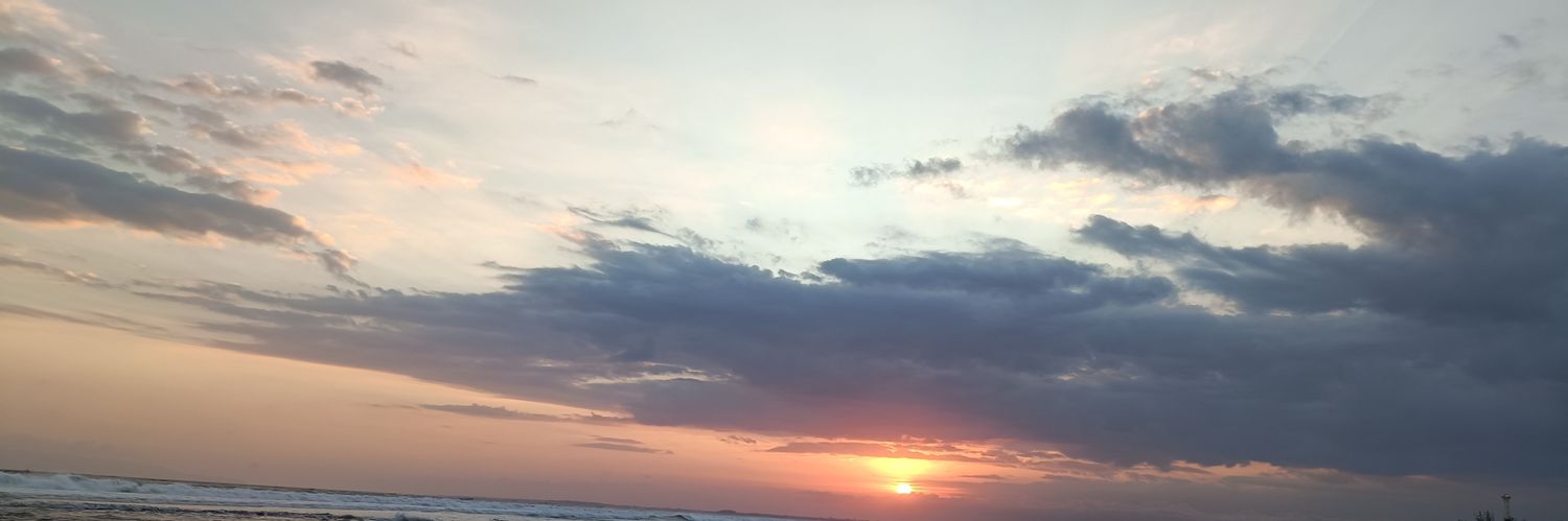 FREE TAG banner