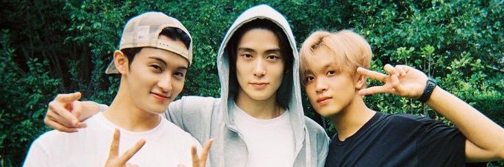 ˚˖𓍢ִ໋❀ dyta ˖໒꒱🍀 banner