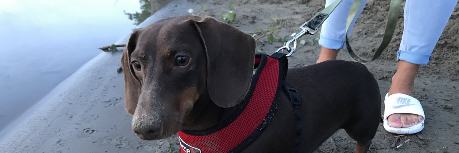 Michelle Smart banner