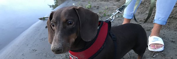 PrincipalSmart Profile Banner