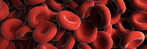 SibaElHussein Profile Banner