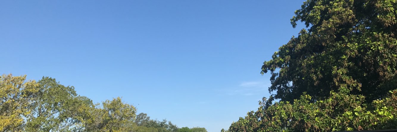 lezotattoo's profile banner image
