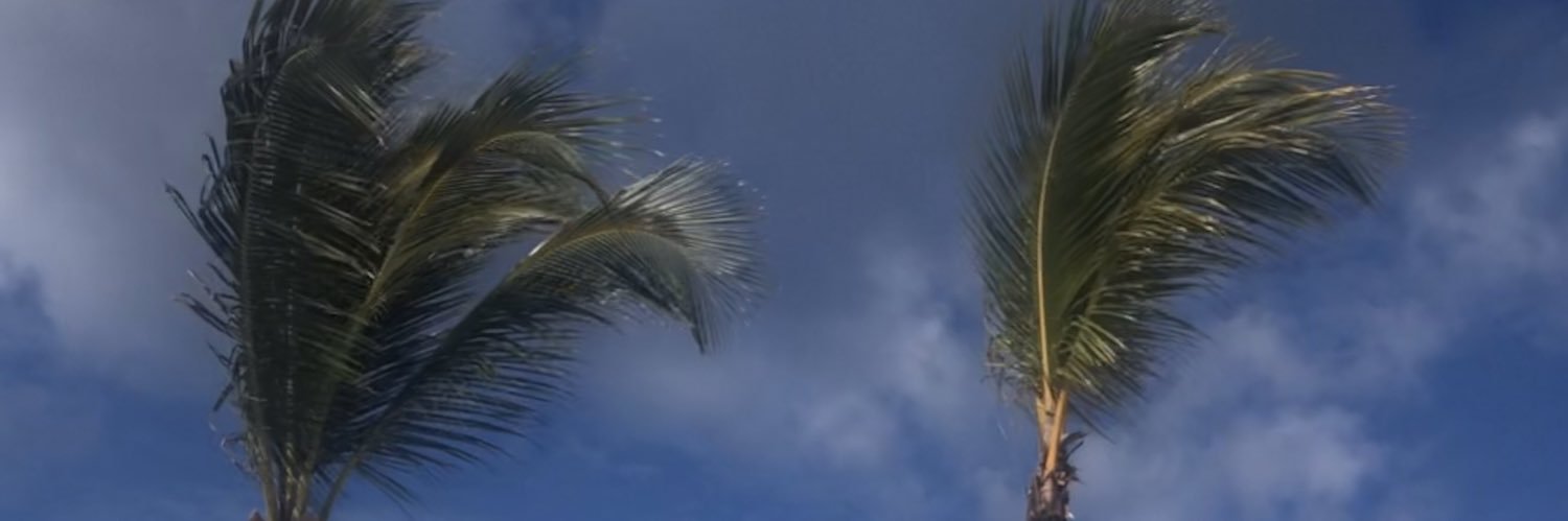 TimGree08706125's profile banner image