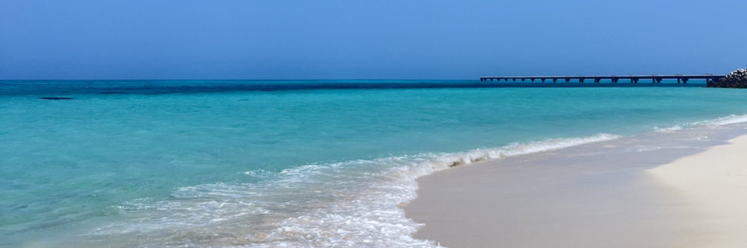 あみーご @双極性障害からの復活 banner