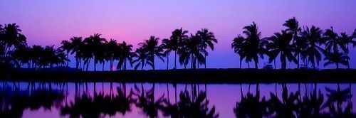 Víctor Escribano banner