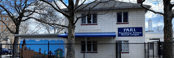 PARLri Profile Banner